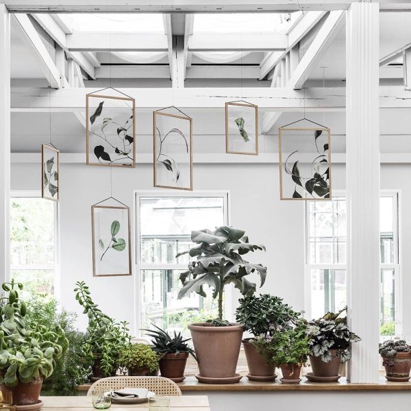 Transparent No.4 Floating Leaves A3