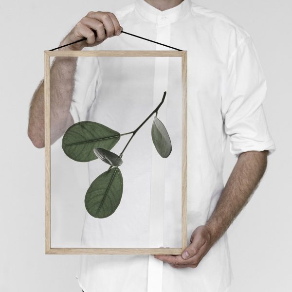 Transparent No.5 Floating Leaves A3