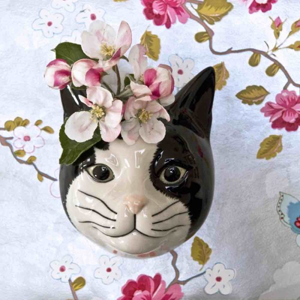 Cat Barney Wall Vase