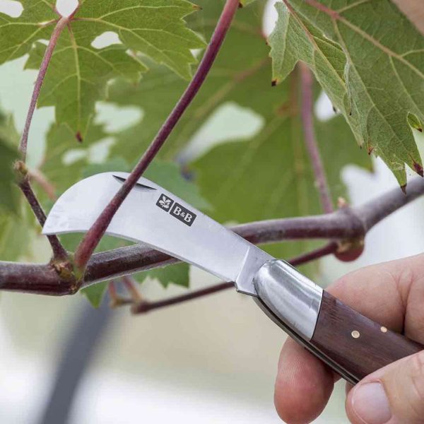 Stainless Steel Pocket Knife