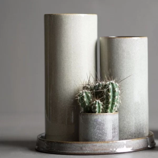 Astillbe Mini Pot Multi