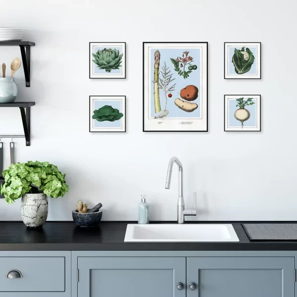 Cabbage Mini Print Framed