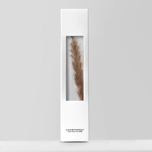 Bottle Plant - Pennisetum