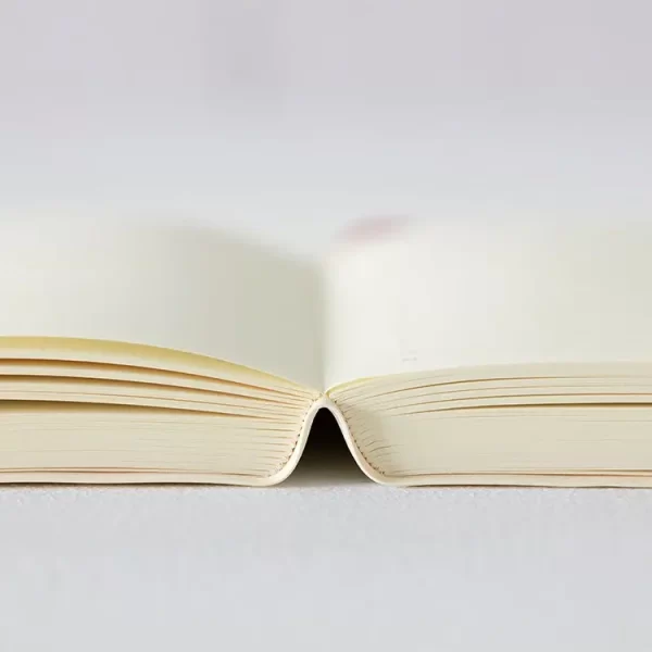 2027 MD Notebook Diary 1 Day 1 Page
