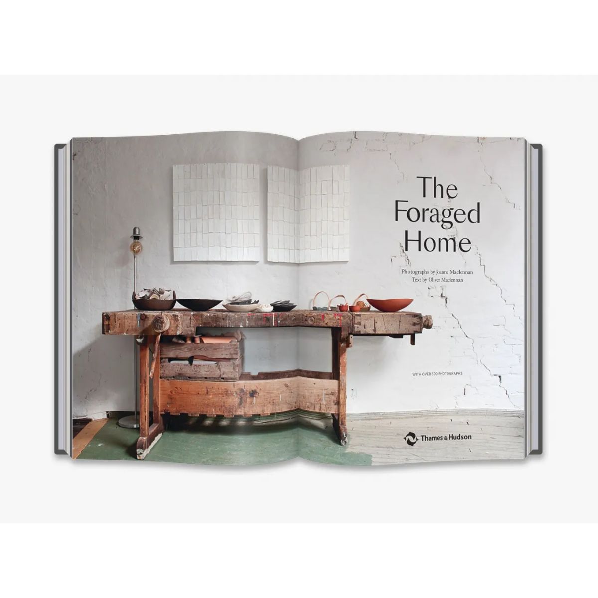 9780500021873_in01_the-foraged-home