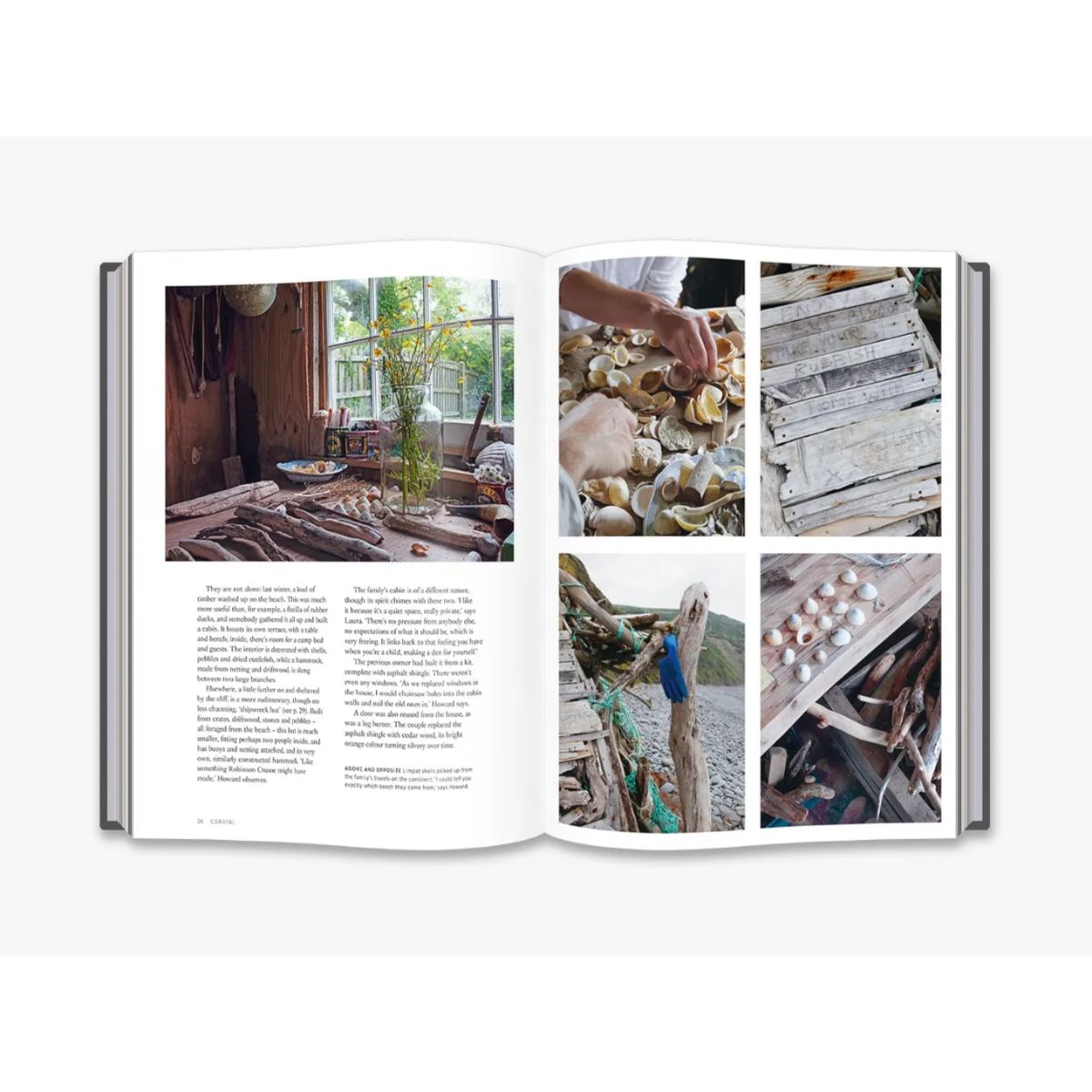 9780500021873_in07_the-foraged-home