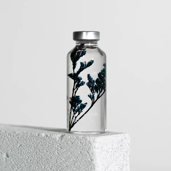 Small Bottle Plant - Limonium Tetragonum