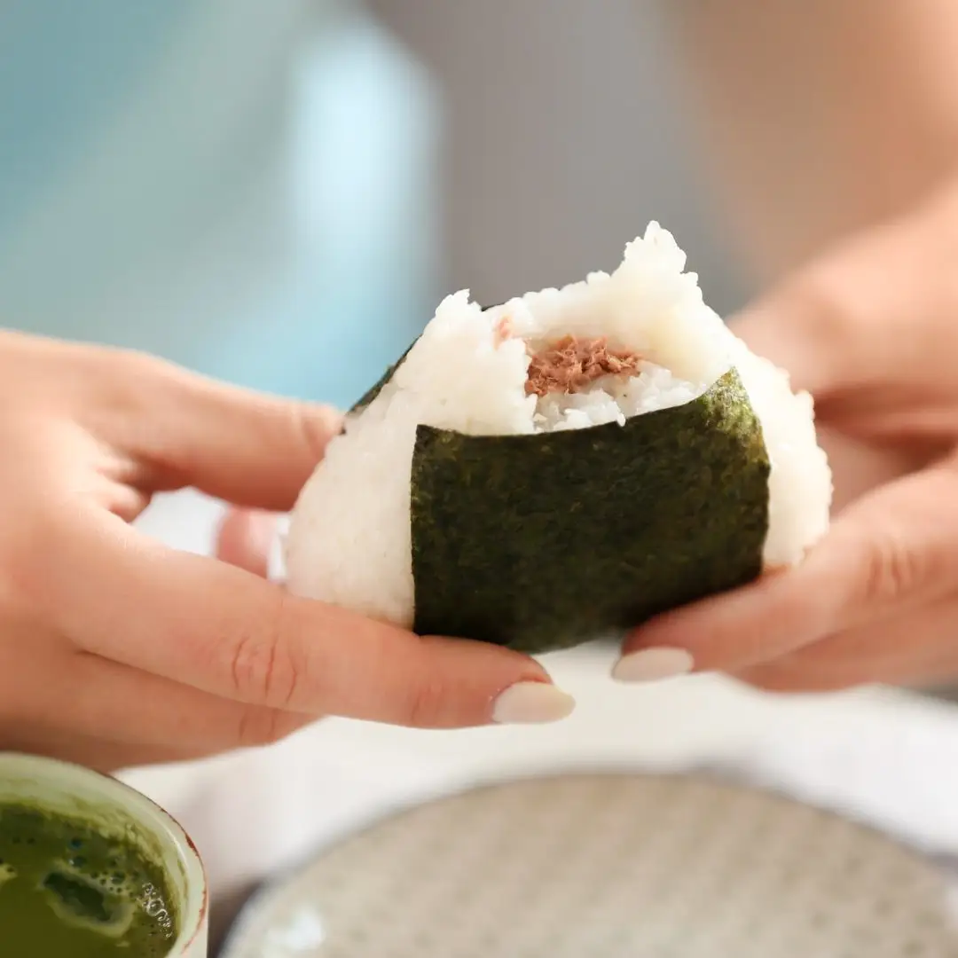 japanese-rice-ball-fillings