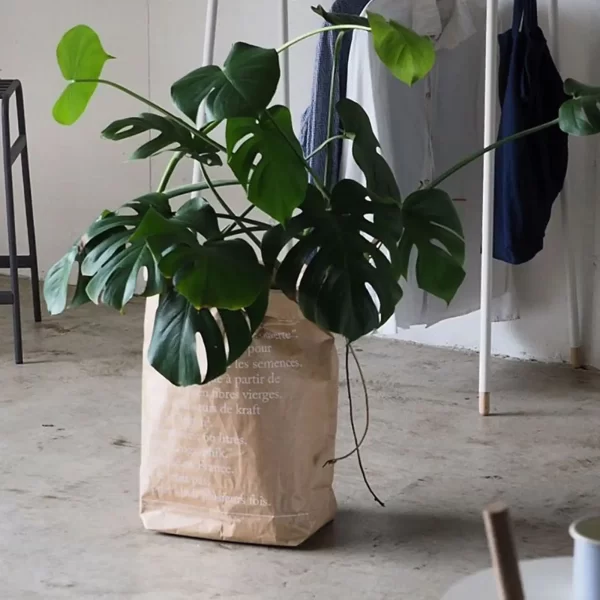 Le Sac en Kraft Brun- The Brown Paper Bag