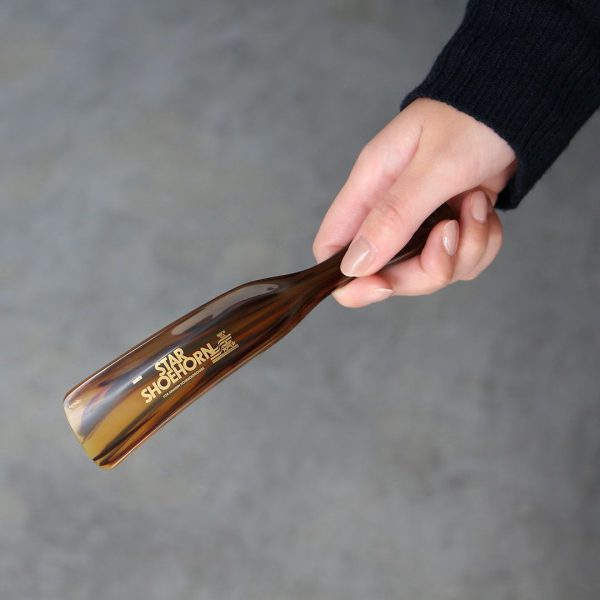 Star Shoehorn Tortoise