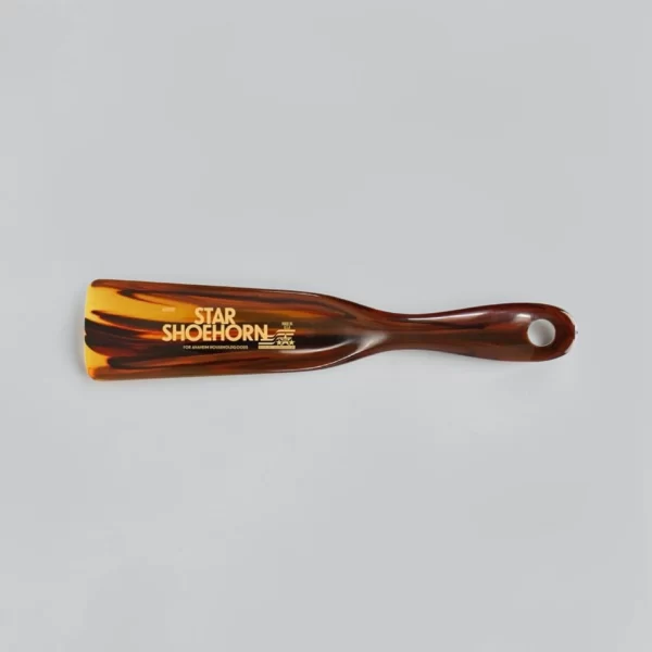 Star Shoehorn Tortoise