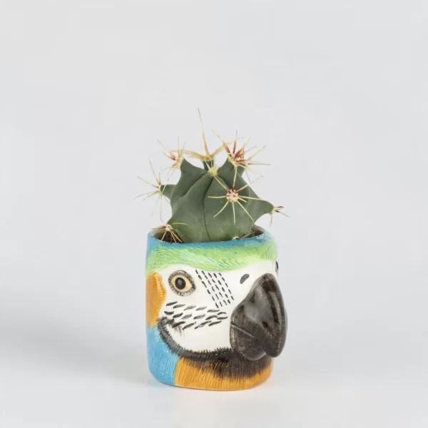 Macaw Mini Pot